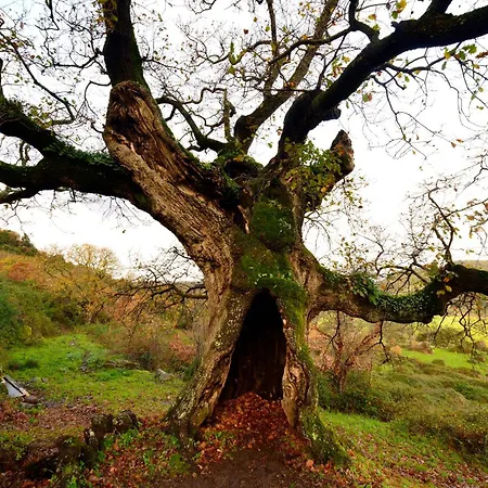 Da Rita Frühstückspension
