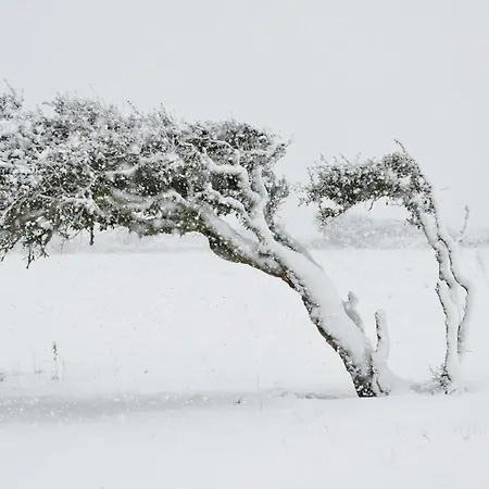 Da Rita Frühstückspension Villanova Monteleone