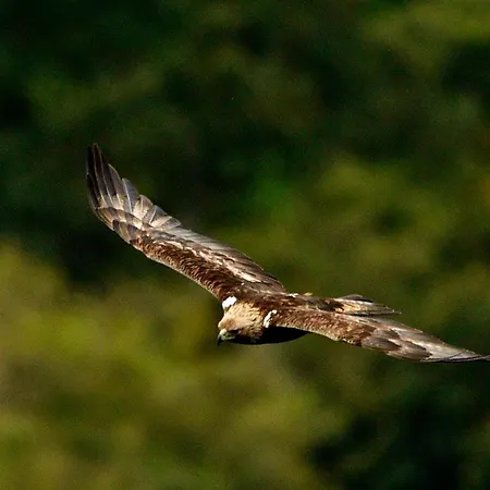 Da Rita Bed & Breakfast 3*