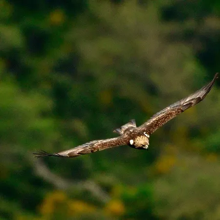 Da Rita Villanova Monteleone