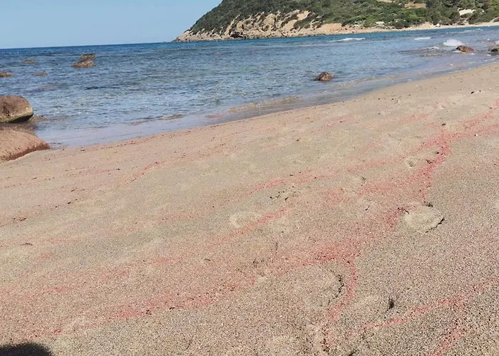 Da Rita Bed and breakfast 3*