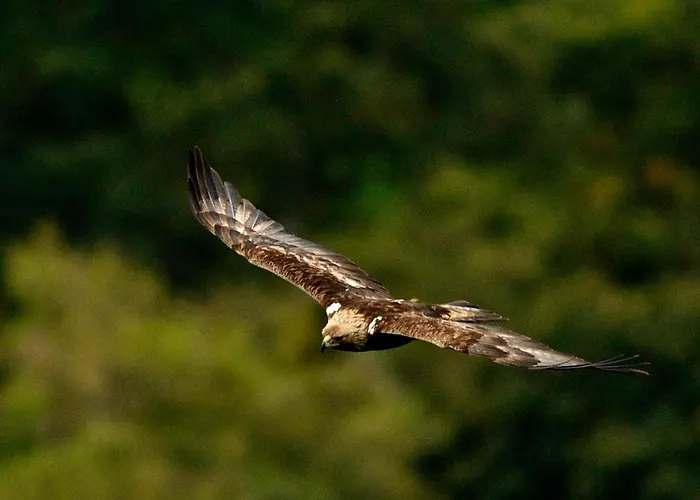 Da Rita Bed and breakfast 3*