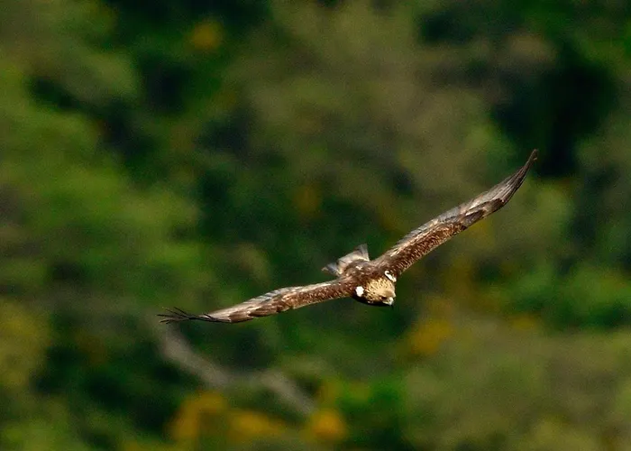 Da Rita Villanova Monteleone