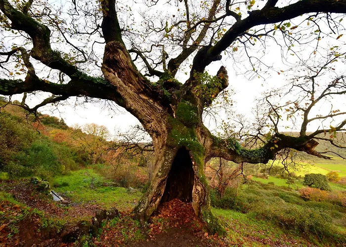 Da Rita Bed and breakfast