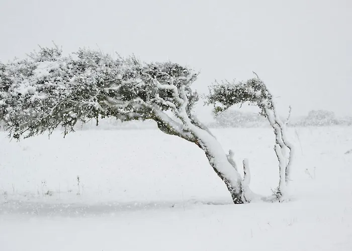 Da Rita Bed and breakfast Villanova Monteleone