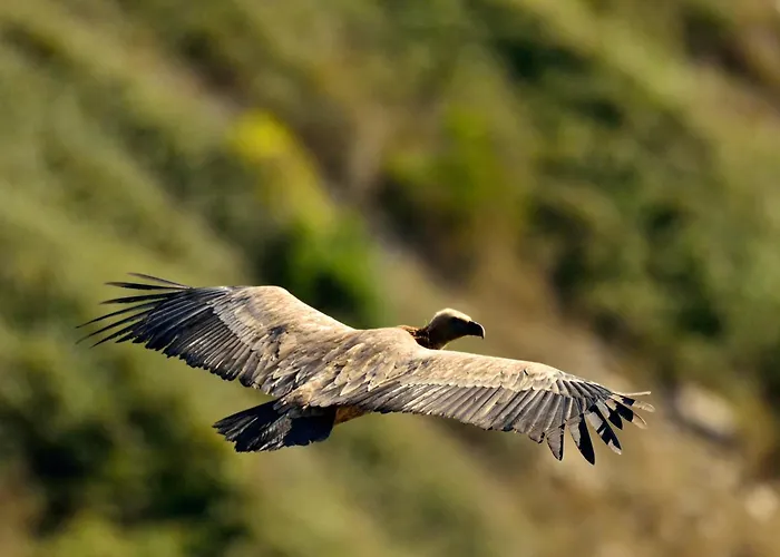 Da Rita Villanova Monteleone